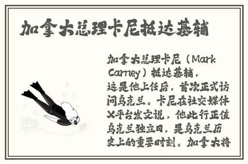 作家的谎言花季传媒免费进入
